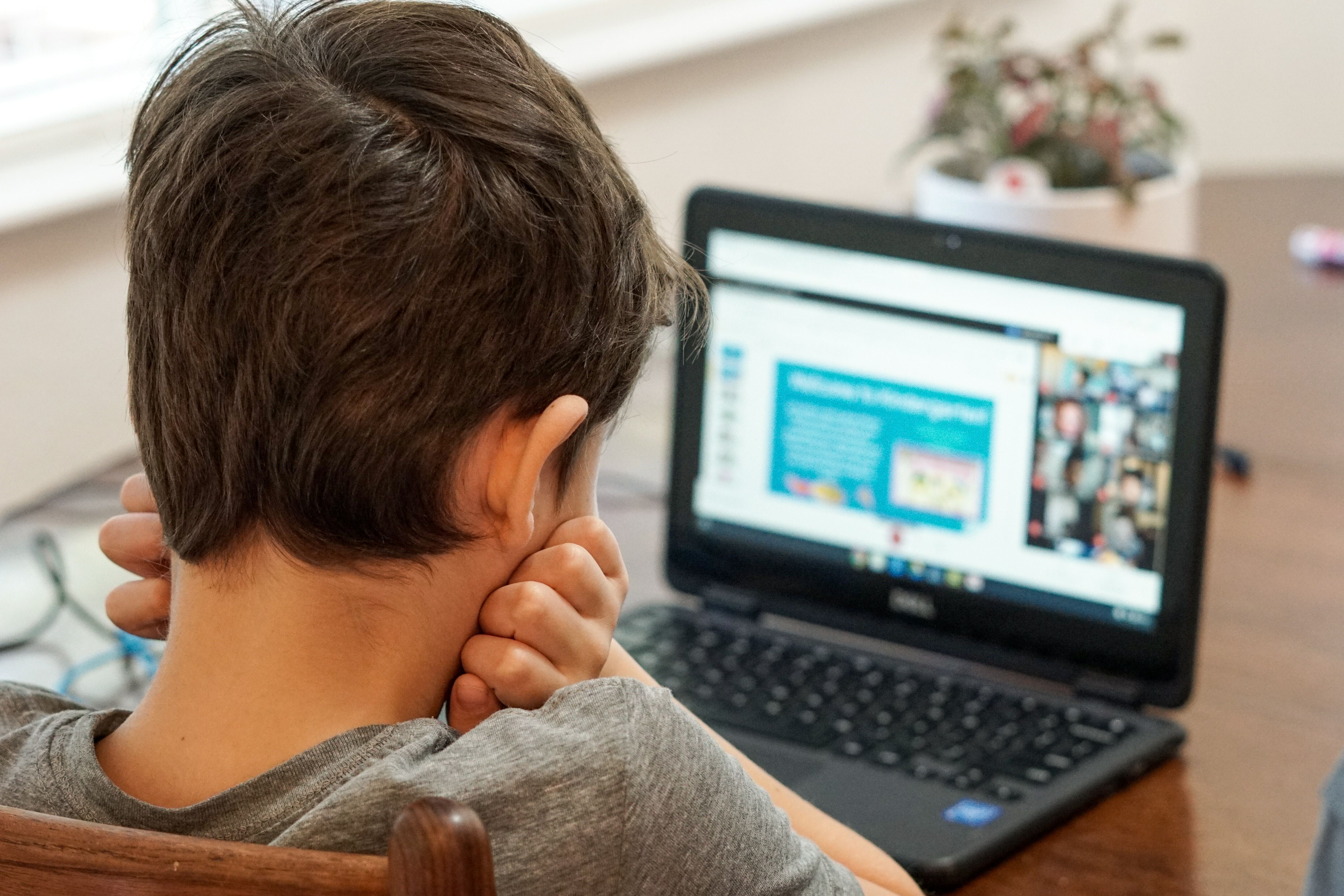 A child attending an online class with many other students.