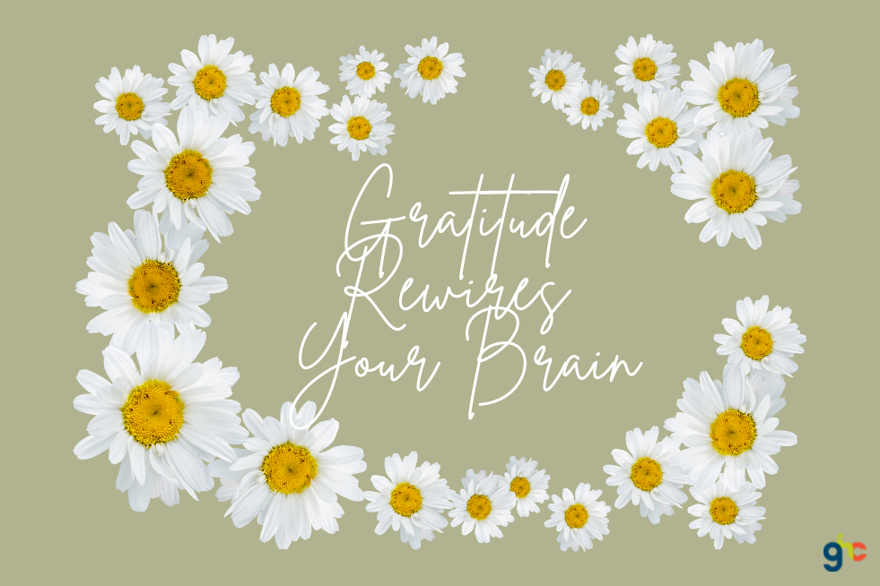 Gratitude Rewires Your Brain