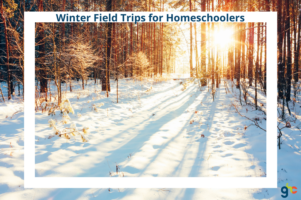Winter Field Trips for Homeschoolers