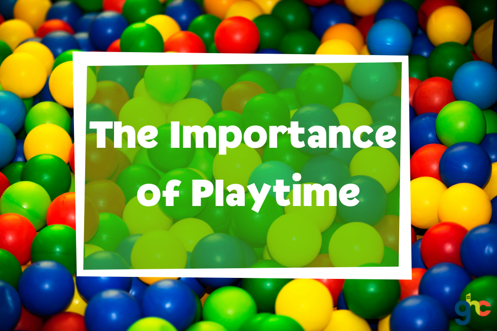 The Importance of Playtime