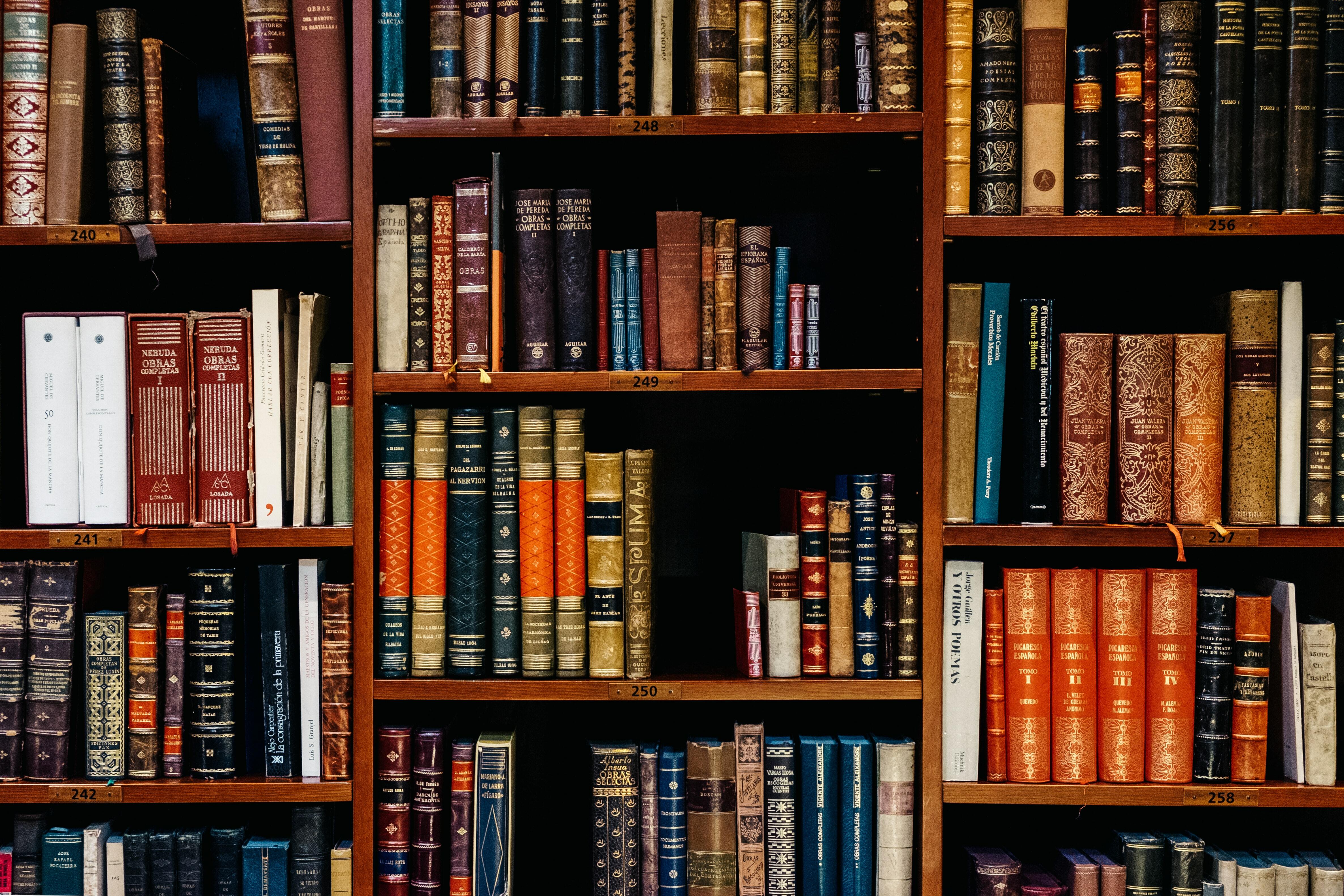 A library with many books