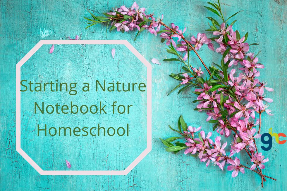 Starting a Nature Notebook for Homeschool