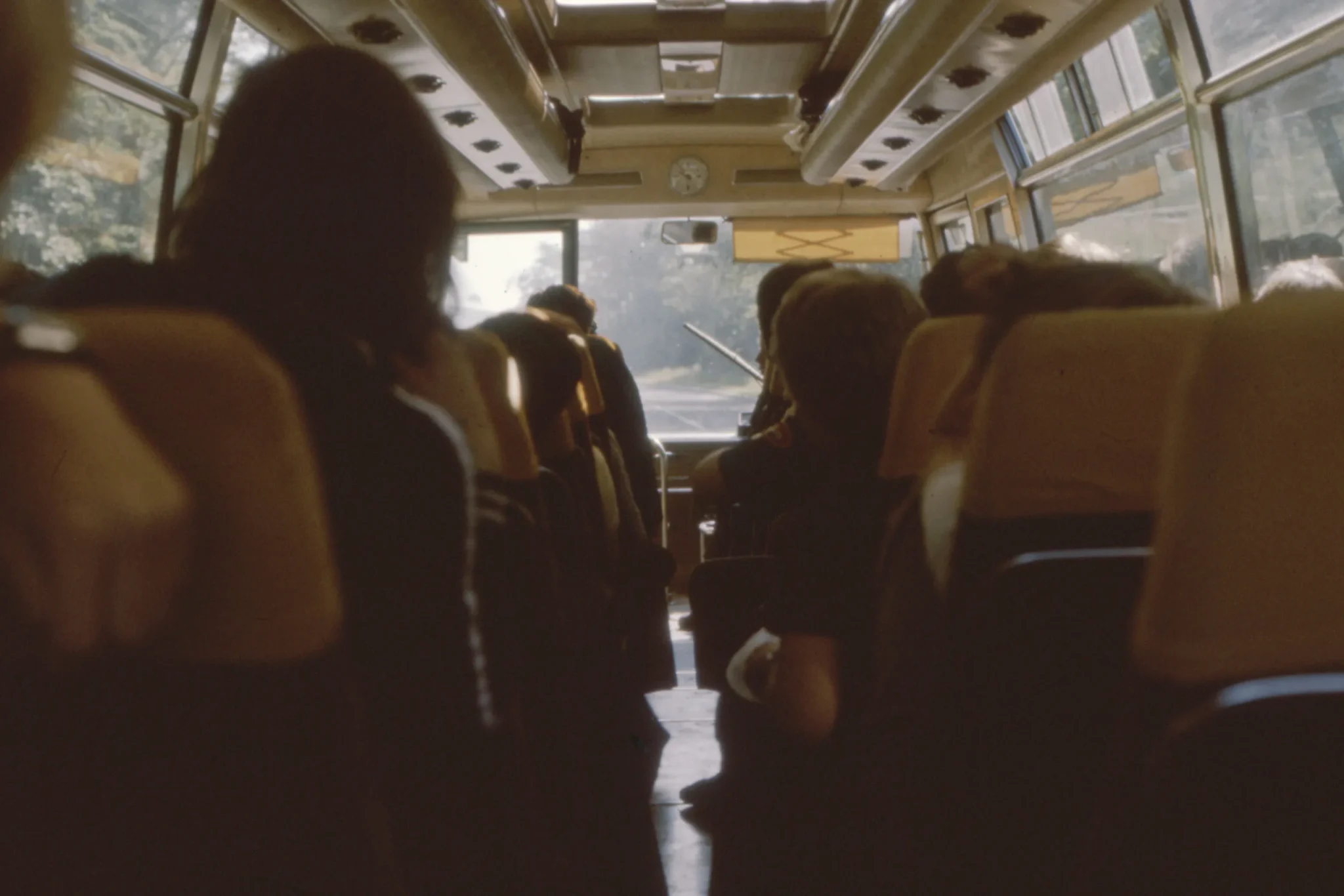 Children on a field trip