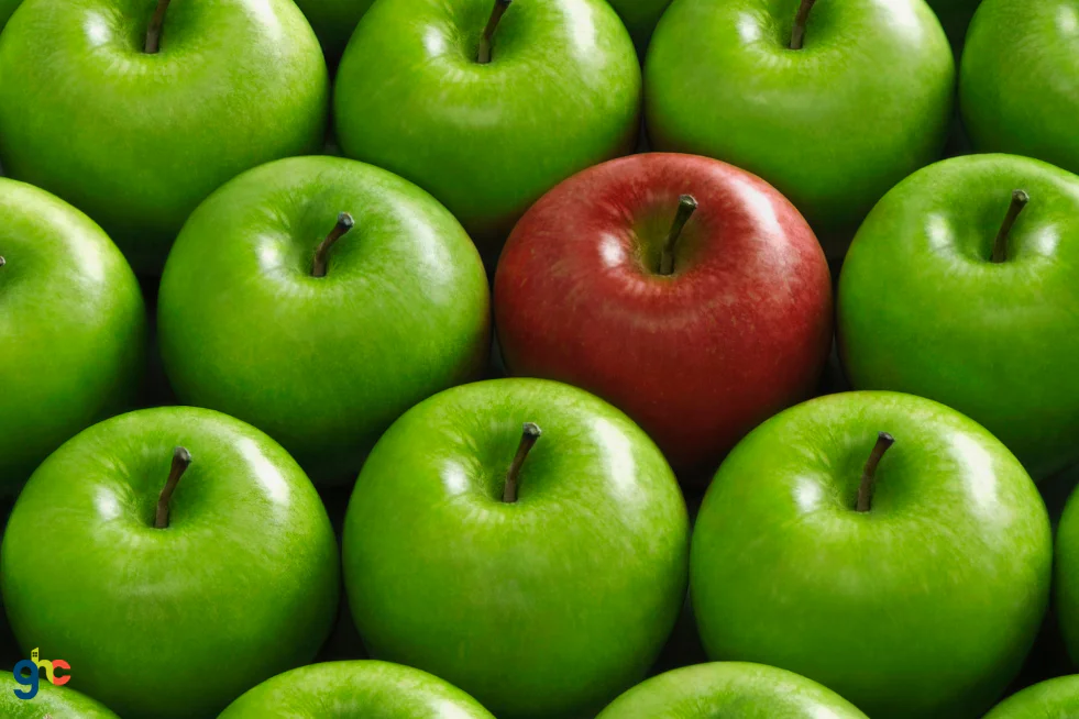 Comparison kills homeschooling confidence feature