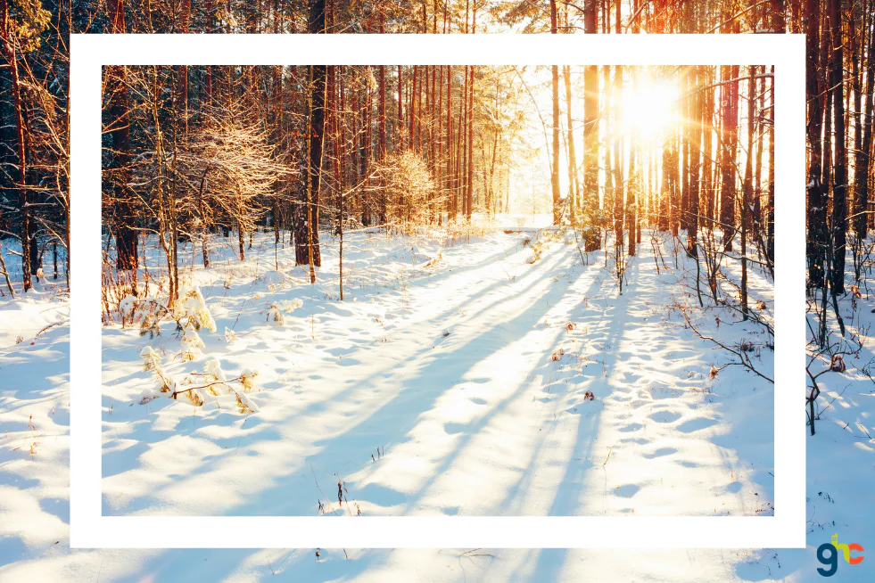 Winter Field Trips for Homeschoolers