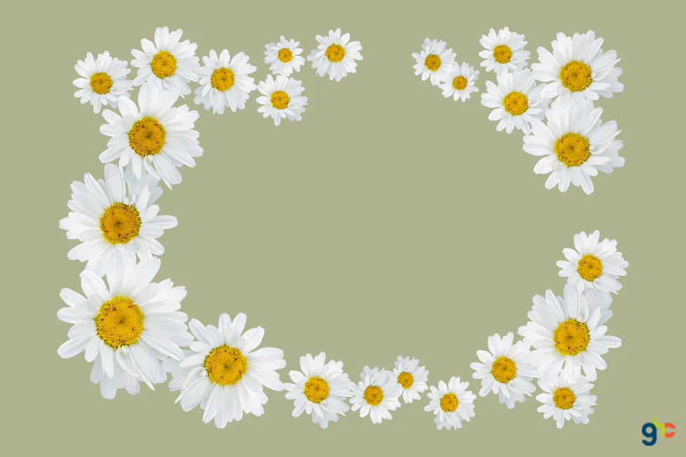 Gratitude Rewires Your Brain