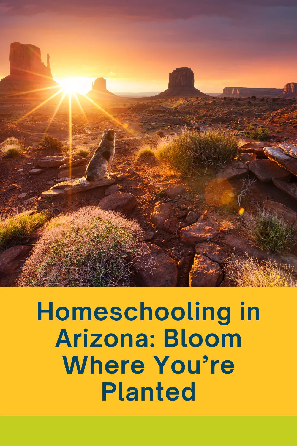 Homeschooling in Arizona: Bloom Where You’re Planted