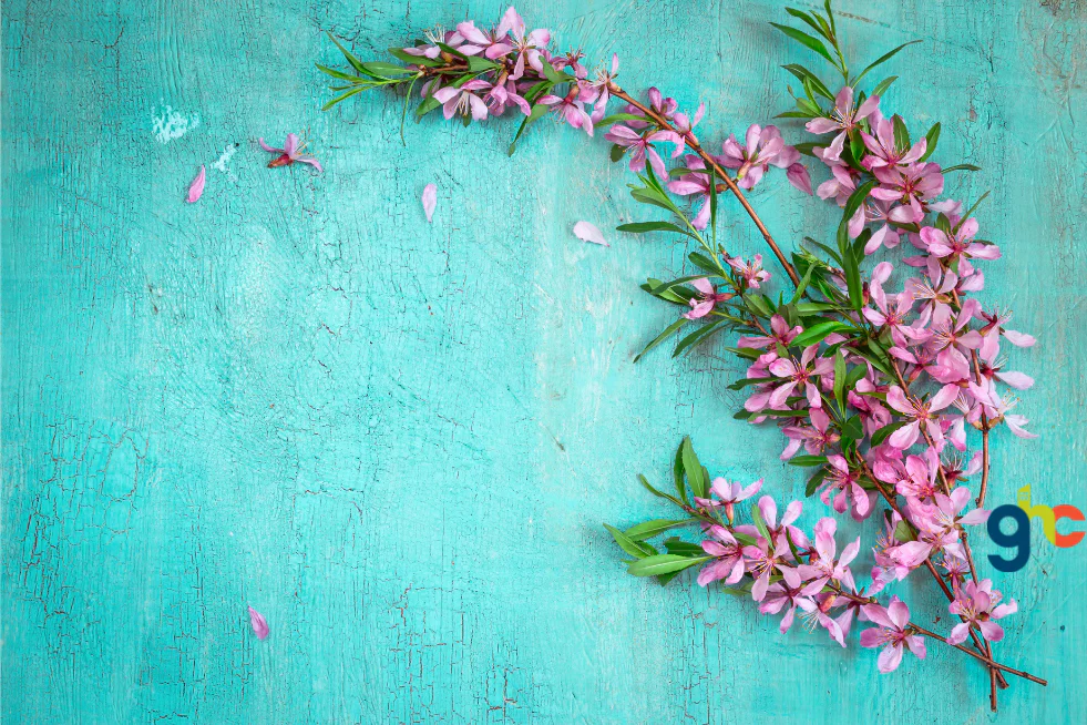 Nature notebook feature