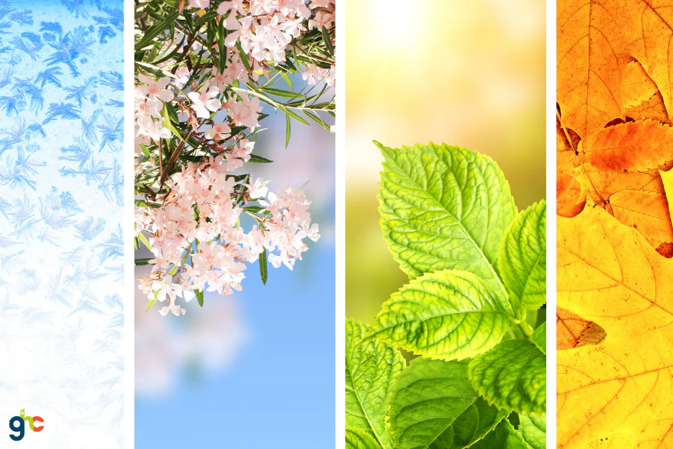images of each of the four seasons including snow, flowers, leaves
